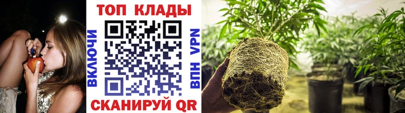 Купить Бутират  Псилоцибиновые грибы  Меф мяу мяу  Альфа ПВП  Бошки Шишки  Миасс